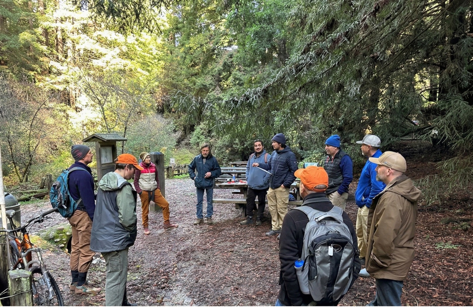 Nisene Marks State Park